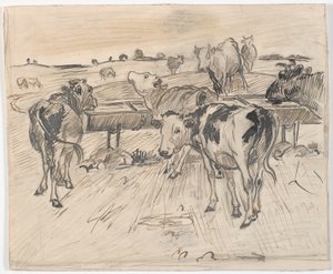 Calves at Gammelgård