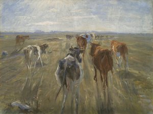 Long Shadows. Cattle on the Island of Saltholm, c1890
