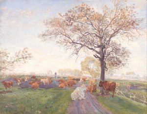 Milking Place at Dyrehavegård