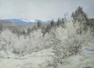 Far Far Away in the Forest by Theodor Kittelsen