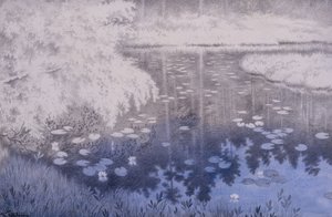 There Lies a Pond in Svartebudale