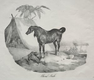 Arab Horse by Theodore Gericault
