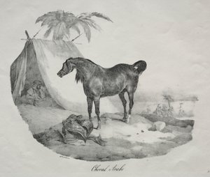 Arabian Horse by Theodore Gericault