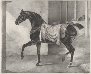 Black Horse Tethered in a Stable by Theodore Gericault