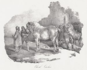 A Native Horse from Caux, Normandy by Theodore Gericault