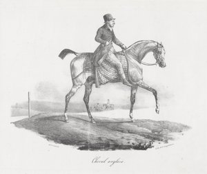 English Horse by Theodore Gericault