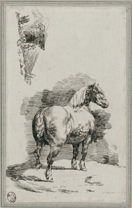 A Dapple-Gray Horse