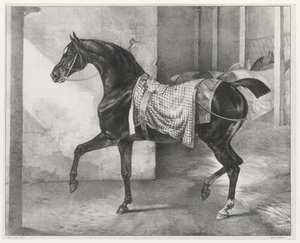 A Black Horse Tethered in a Stable by Theodore Gericault