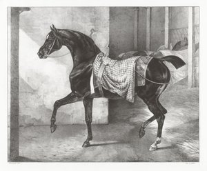 A Black Horse Tethered in a Stable by Theodore Gericault
