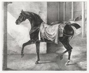 A Black Horse Tethered in a Stable by Theodore Gericault