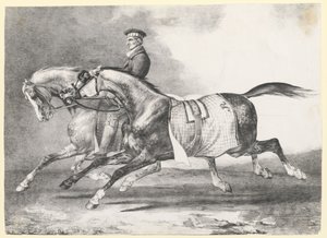 Two Dapple-Grays Being Exercised by Theodore Gericault