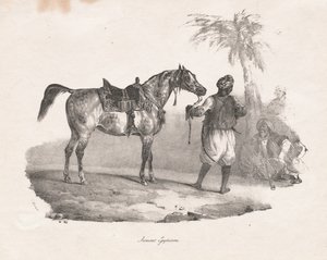 Egyptian Mare, 1822