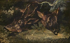 Heads of Roe Deer, 1815