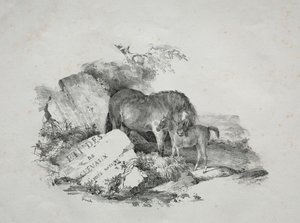 The Mare and Her Foal