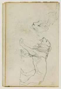 Lion Walking, Head of a Lioness