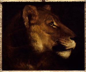 Lioness Head by Theodore Gericault