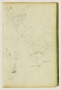 Studies of a Seated Stag, a Fawn, a Goat Head