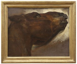 Study of a Dead Horse by Theodore Gericault
