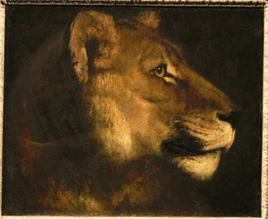Tete de lionne