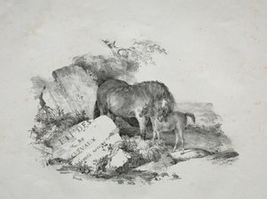 The Mare and Her Foal