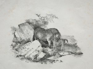 The Mare and Her Foal