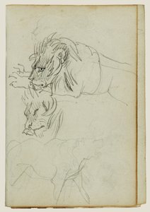 Three Lion Studies by Theodore Gericault