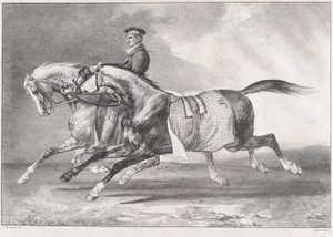 Two Dappled-Grey Horses Being Exercised by Theodore Gericault