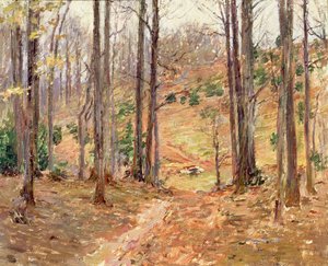 Virginia Woods