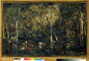 Interior of the forest called the Old Dormitory of Bas-Breau (Fontainebleau forest)