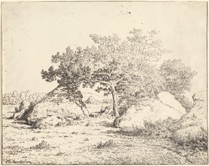 The Cherry Tree of the Plante a Biau