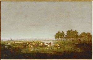 A Marsh in the Landes