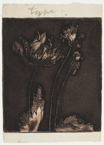 Last Poppies by Theodore Roussel