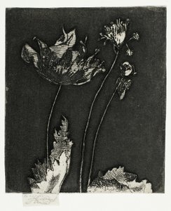 Last Poppies by Theodore Roussel