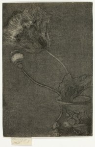Poppy in a Vase