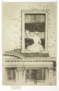 The Window Cleaner
