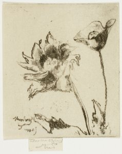 Two Flowers by Theodore Roussel