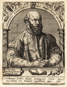 Adam Lonicer or Lonitzer by Theodore de Bry