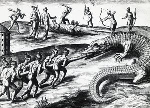 Crocodile Hunting in Florida, from painting by Jacques le Moyne de Morgues, by Theodor de Bry by Theodore de Bry