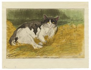 Old Black and White Cat in the Grass by Théophile Alexandre Steinlen