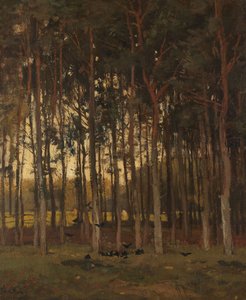 View in the Woods by Theophile de Bock