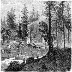 Sawmill, California by Theroud