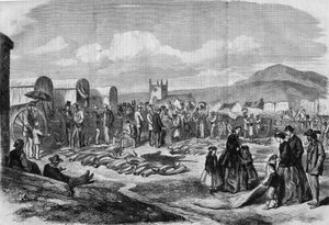 Ivory and skins market in Grahamstown, Albania, Cape Colony by Thomas (after) Baines