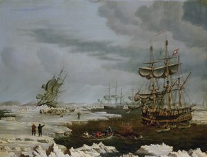 Hull Whalers in the Arctic by Thomas A. Binks