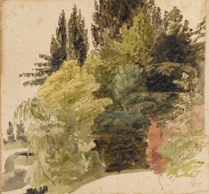 A Study of Trees in the Grounds at Merton Place