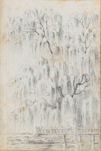 Study of a Tree Overhanging Water at Merton
