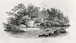 A bend in the river, from 
