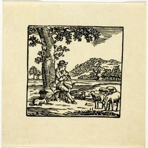 Book Illustration