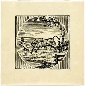 Book Illustration
