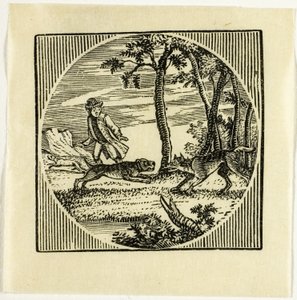 Book Illustration