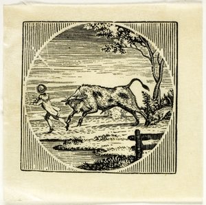 Book Illustration